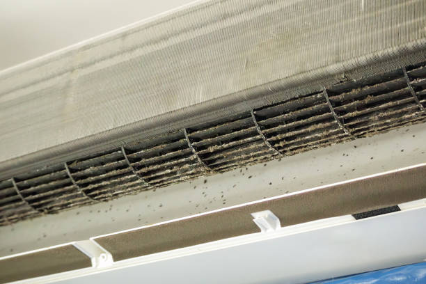 Best HVAC Duct Inspection Services  in Colwyn, PA